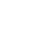 ascaris roundworm