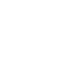 kissing bug