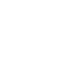 sandfly